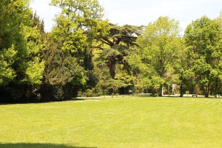 Chateau Castelrives Bessières Esterno foto