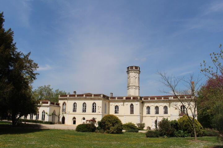 Chateau Castelrives Bessières Esterno foto